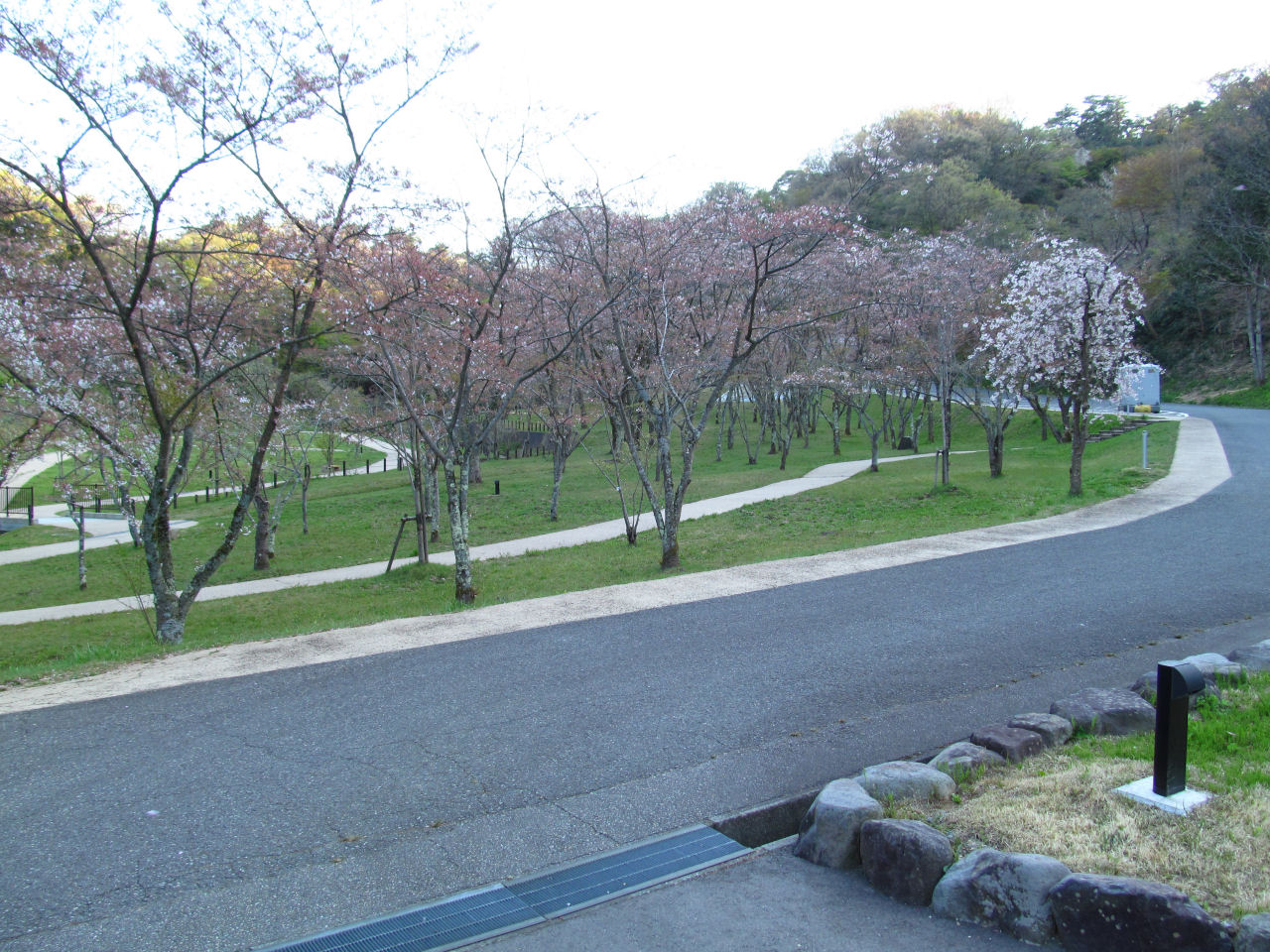 卯辰山「四百年の森」に行きました  coronのまちぽた